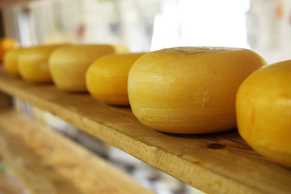 A line of cheese wheels