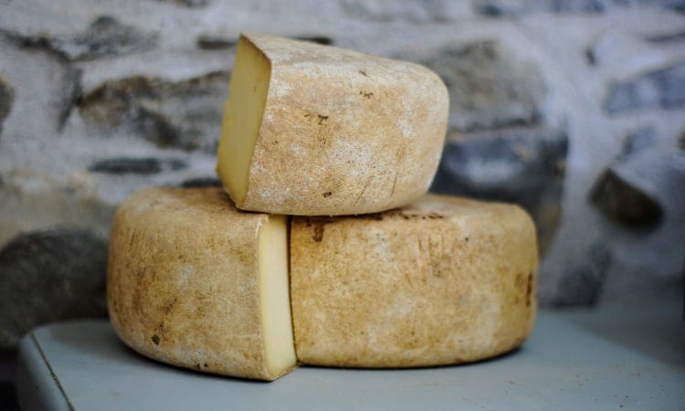 Closeup of 3 large cheese wedges with a chalky yellow-white rind on a gray counter
